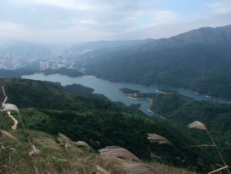 城門水塘|城门水塘 